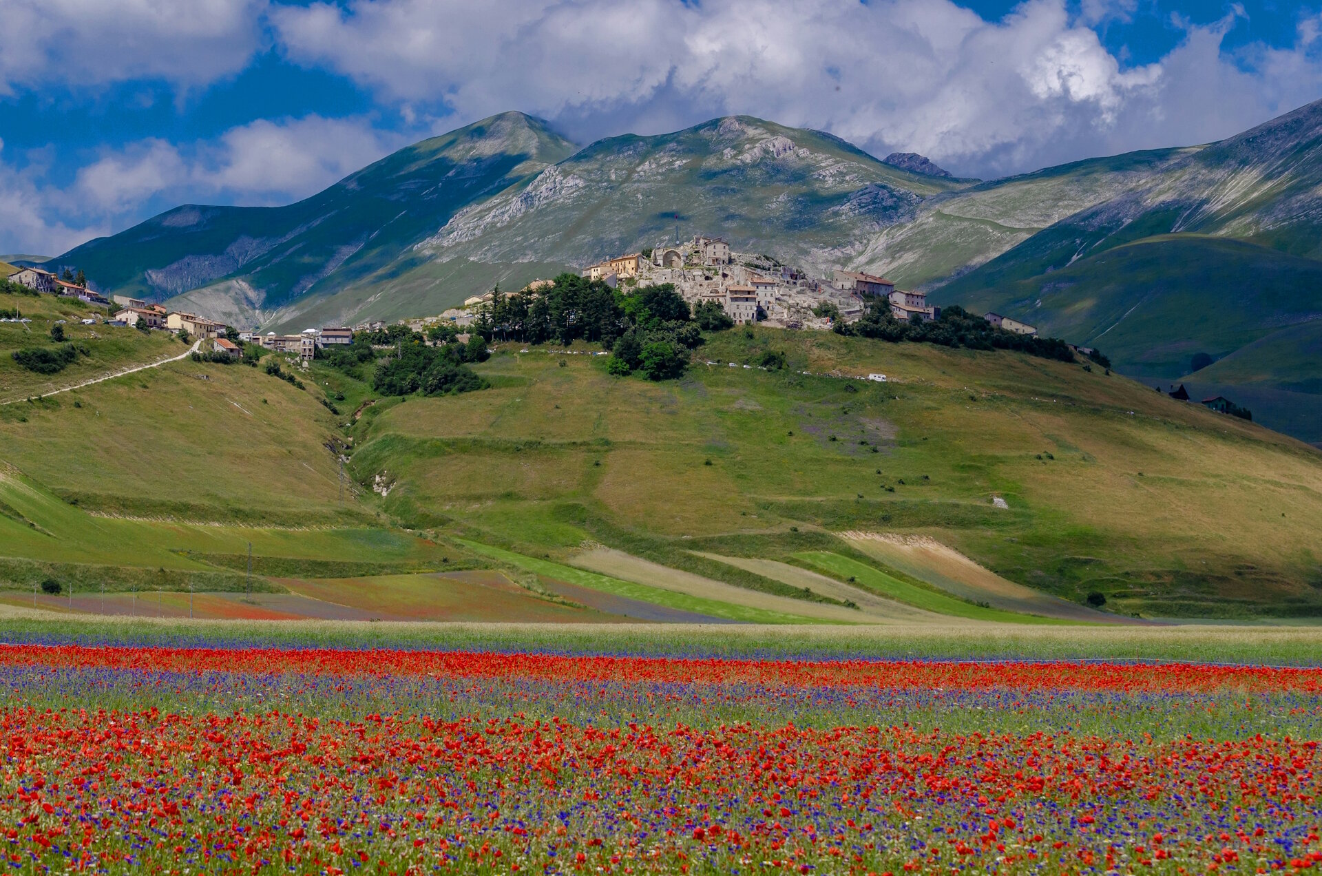 Le meraviglie in fiore dell'Umbria: visitare gli affascinanti campi di fiori di Castelluccio