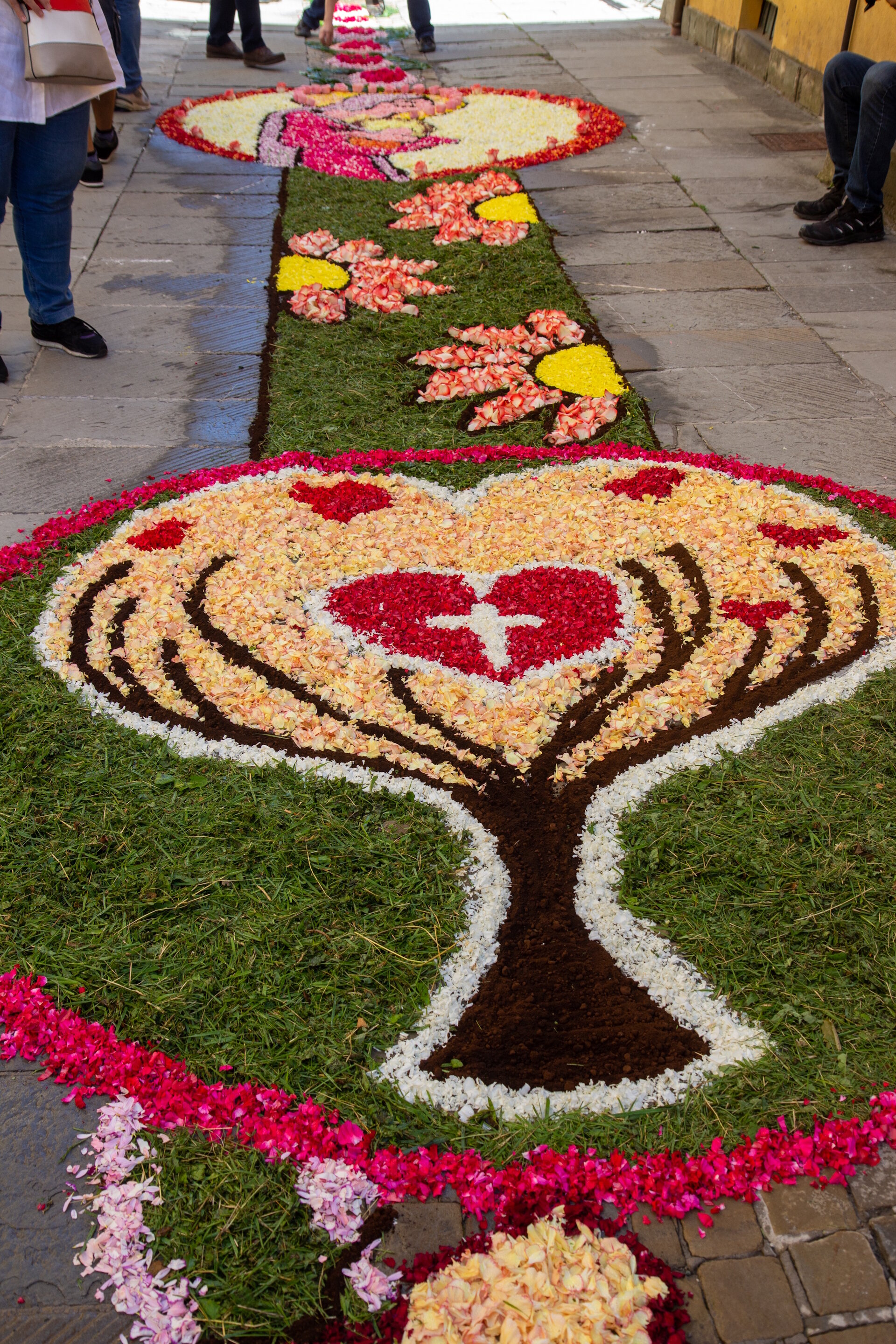 Spello Vie Infiorata