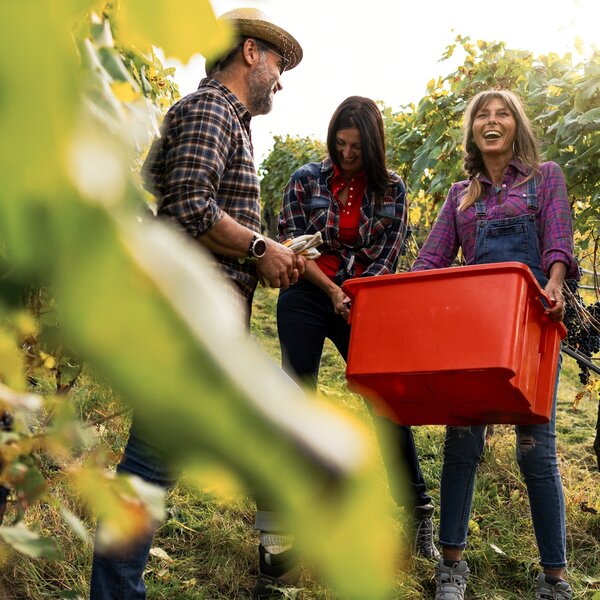 Italianissimo: l'essenza del cibo, del vino e delle tradizioni italiane